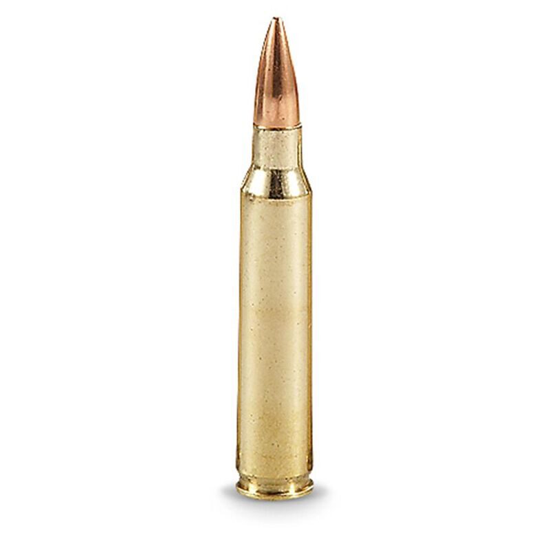 50 Rounds of American Quality .223 Remington Ammunition 50 Rounds FMJ 55 Grain Winchester Brass
